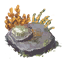 Rocky Scrubland