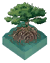Mangroves