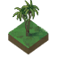 Tropical Forest