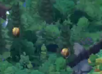 Beehives in a Forest.