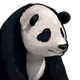 Panda.png