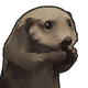 SeaOtter.png