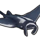 Mantaray.png