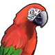 Parrot.png