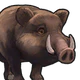 Boar.png