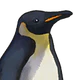 Penguin.png