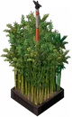 Bamboo Nursery.png