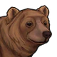 Bear.png