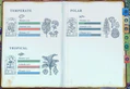 Thumbnail for version as of 05:18, 25 May 2024