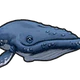 Whale.png