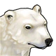 PolarBear.png